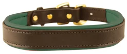 Perri’s® Padded Leather Nameplate Dog Collar