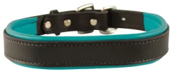 Perri’s® Padded Leather Nameplate Dog Collar