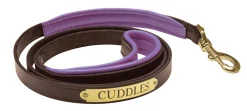 Perri’s® Padded Leather Nameplate Dog Leash
