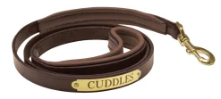 Perri’s® Padded Leather Nameplate Dog Leash