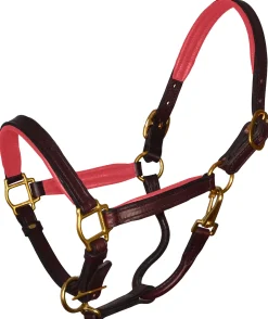 Perri’s® Padded Leather Pony Halter