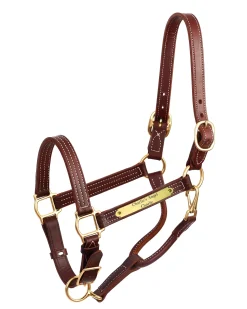 Perri’s® Premium 1" Leather Show Halter with Nameplate