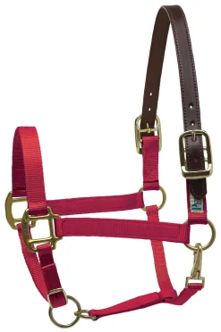 Perri’s® Premium Nylon Breakaway Halter