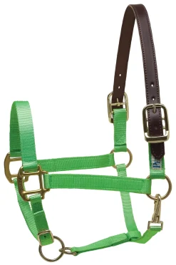 Perri’s® Premium Nylon Breakaway Halter