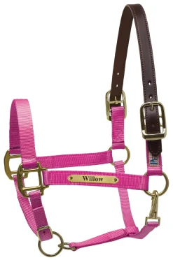 Perri’s® Premium Nylon Safety Halter with Nameplate
