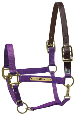 Perri’s® Premium Nylon Safety Halter with Nameplate