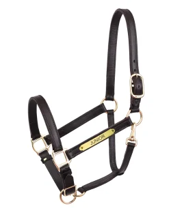 Perri’s® Yearling Leather Turnout Halter