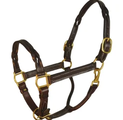 Perri’s® Twisted Leather Halter