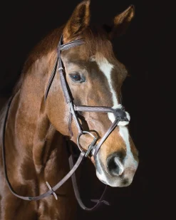 Pessoa® Pro Fancy-Stitched Figure-8 Bridle