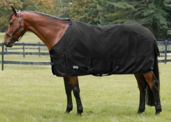Rider’s International™ Pony Turnout Sheet