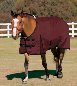 Rider’s International™ Supreme Turnout Sheet