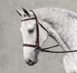 Rodrigo Classic Hunter Bridle