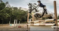 Safe-Guard® Dewormer