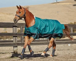 Saxon 1200D Medium-Weight Blanket with Gussets & Standard Neck II