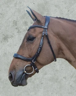 Schockemöhle Equitus Delta Bridle