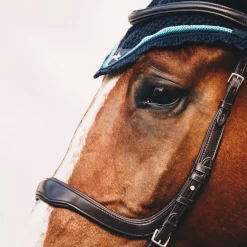 Schockemöhle Equitus Delta Bridle