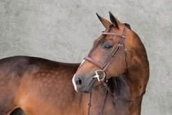 Schockemöhle Montreal Select Anatomic Hunter Bridle