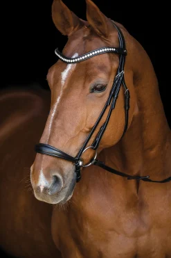 Schockemöhle Pisa Drop Nose Bridle