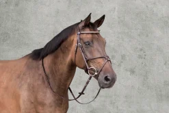 Schockemöhle Rio Select Anatomic Figure-8 Bridle