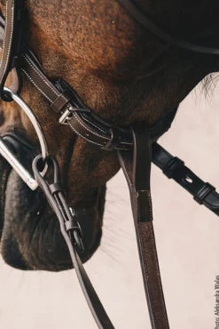 Schockemöhle Santa Clara Standing Martingale