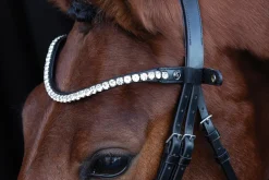 Schockemöhle Siena Browband