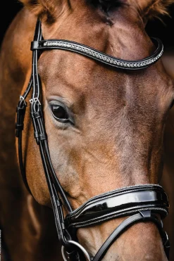 Schockemöhle Standford Glam Bridle