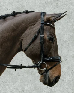 Schockemöhle Stanford Bridle