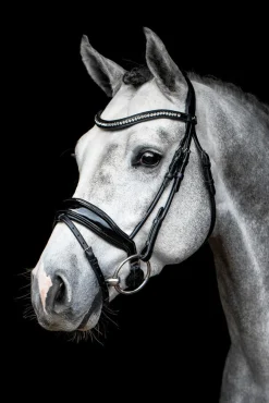 Schockemöhle Malibu Bridle