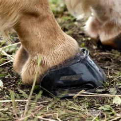 Scoot Boot Skins Glue-On - 2 Pack