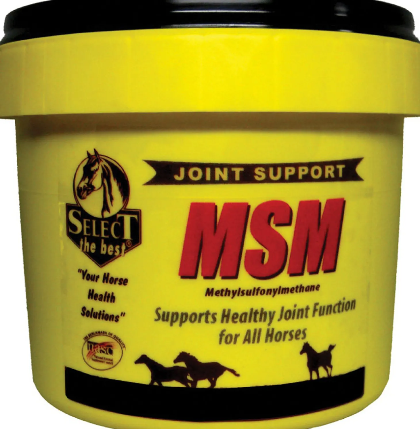 Select MSM Joint Supplement