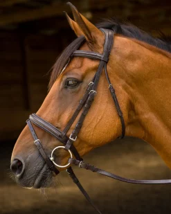 Shires Avignon Louisville Bridle