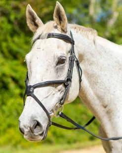 Shires Avignon Woodside Bridle