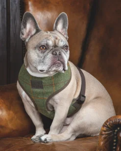 Shires Digby & Fox Tweed Dog Harness