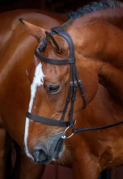 Shires Velociti Rapida Hunter Caveson Bridle