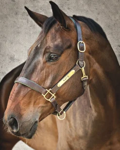 Showmark™ Classic Fancy-Stitched Leather Halter
