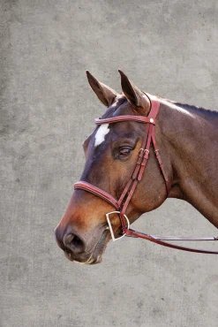 Showmark® Ergonomic Hunter Bridle