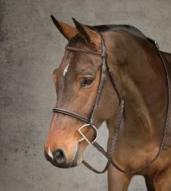 Showmark® Premier Hunter Bridle