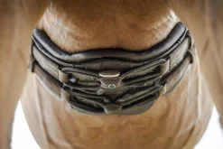 Stübben Equi-Soft® Girth