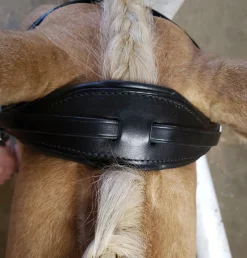 Stübben Patent Switch Combo Bridle