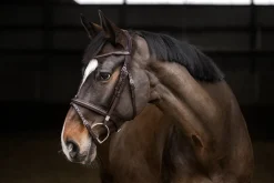 Stübben Pro Jump Bridle with Removable Flash Noseband