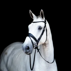 Stübben Switch Combo Bridle