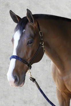 Suffolk™ Leather & Rope Halter with Lead