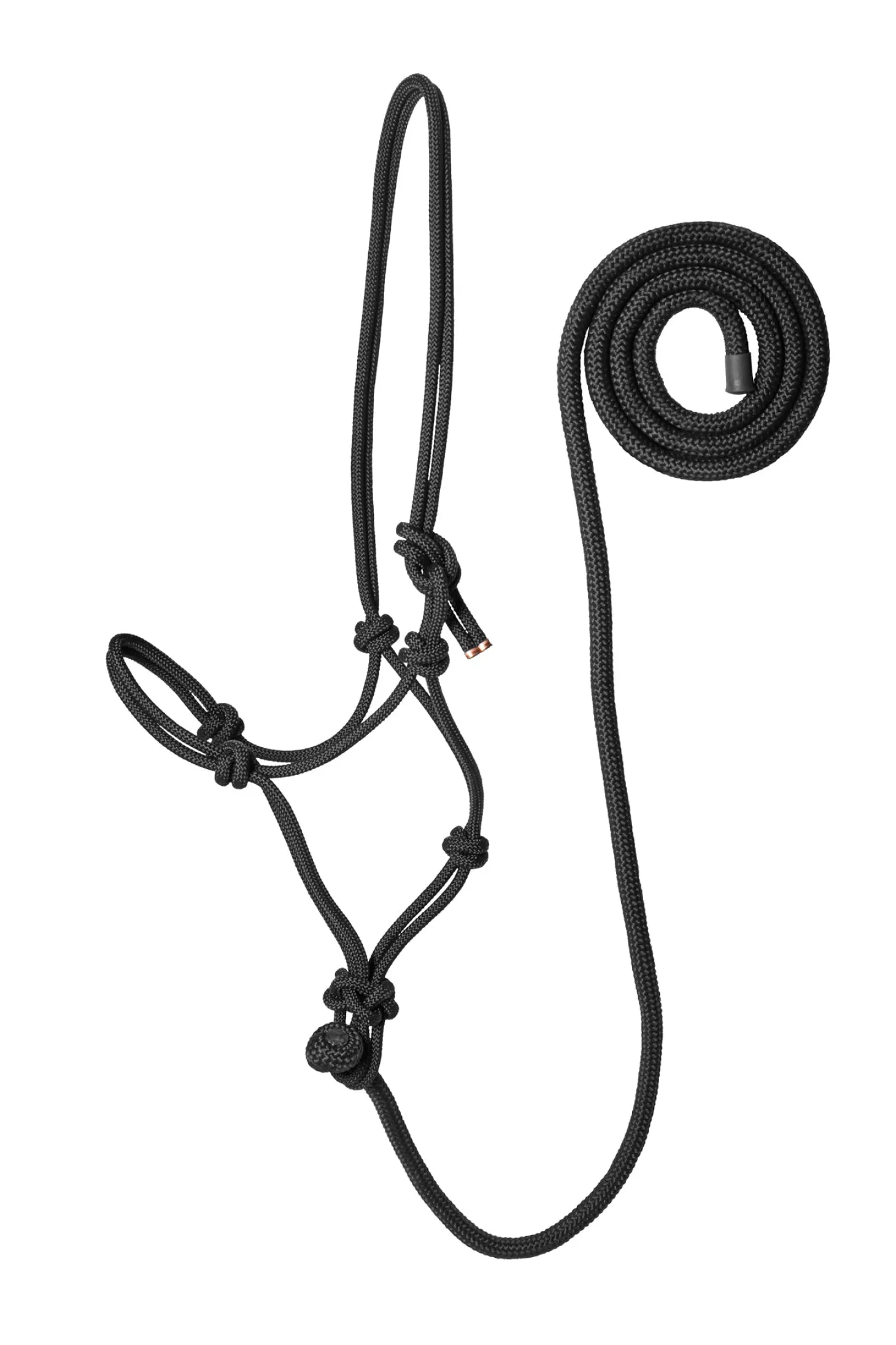 Suffolk™ Rope Halter with Lead