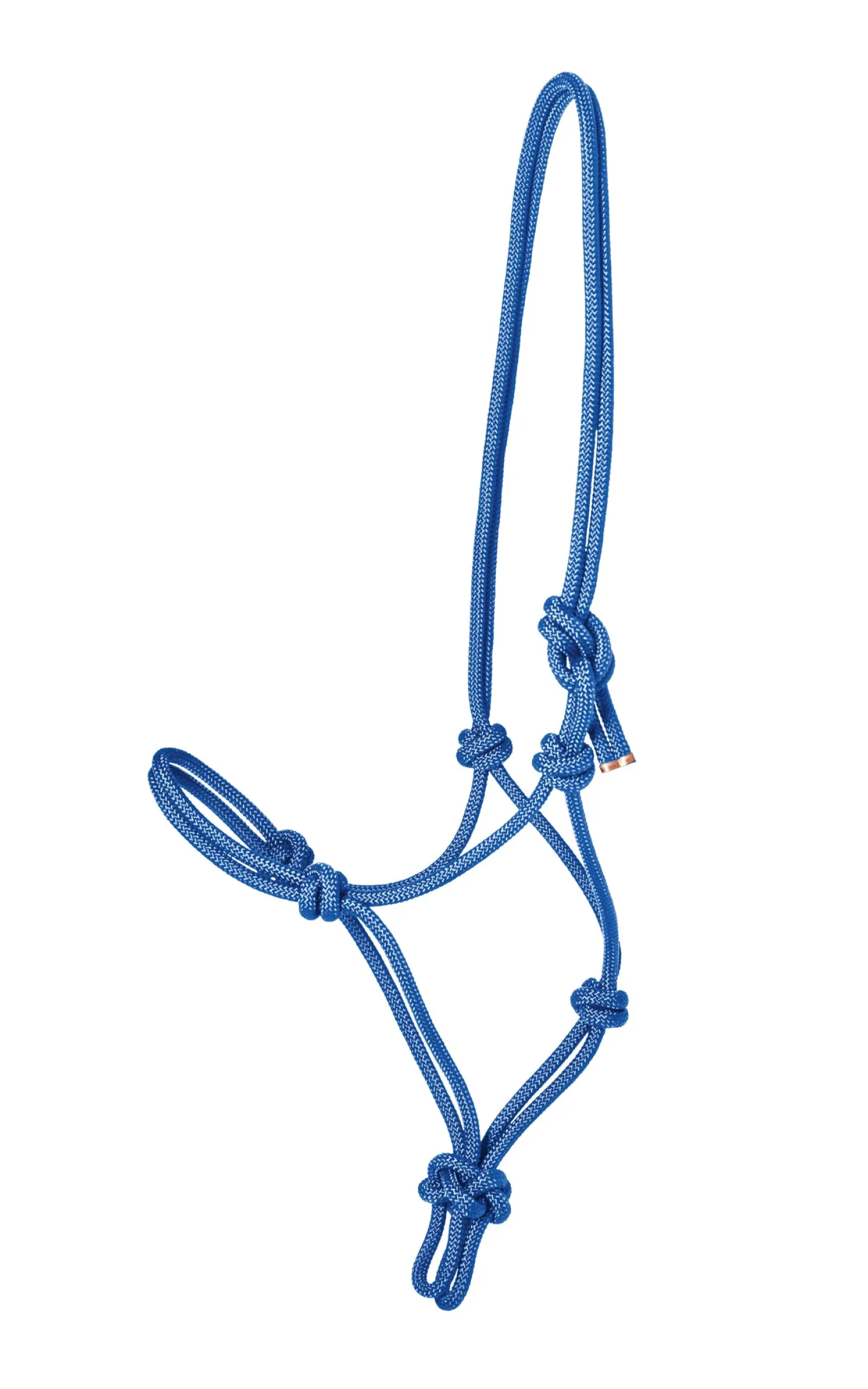 Suffolk™ Rope Halter with Lead