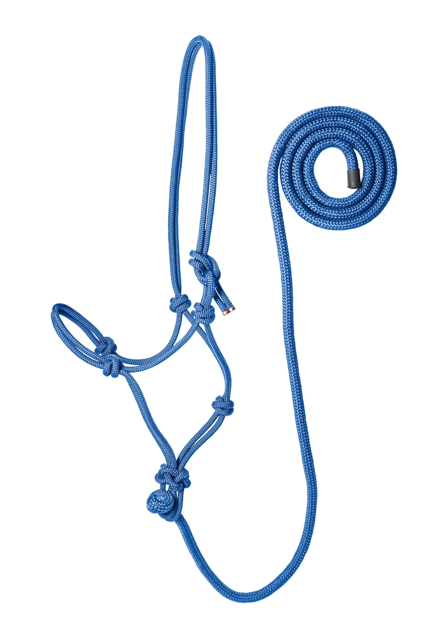 Suffolk™ Rope Halter with Lead