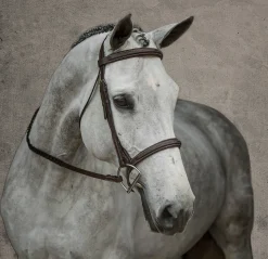 Suffolk™ Single Crown Hunter Bridle