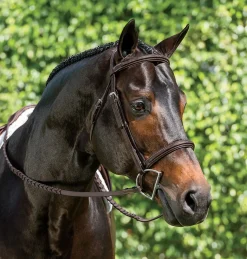 Suffolk™ Single Crown Hunter Bridle