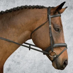 Suffolk™ Single Crown Padded Dressage Bridle