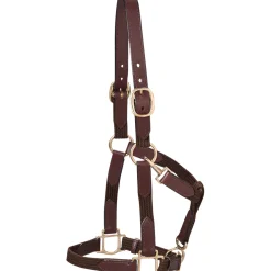 Suffolk™ Web Halter