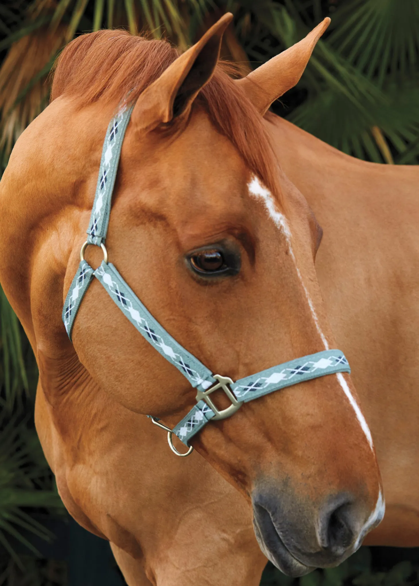 Suffolk™ Woven Argyle Breakaway Halter